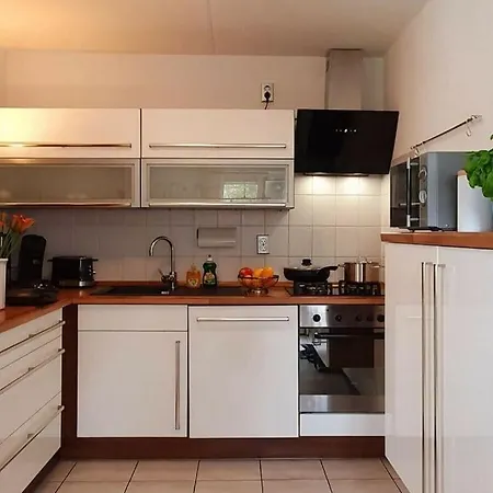 Summer Melody Comfortable Holiday home Julianadorp