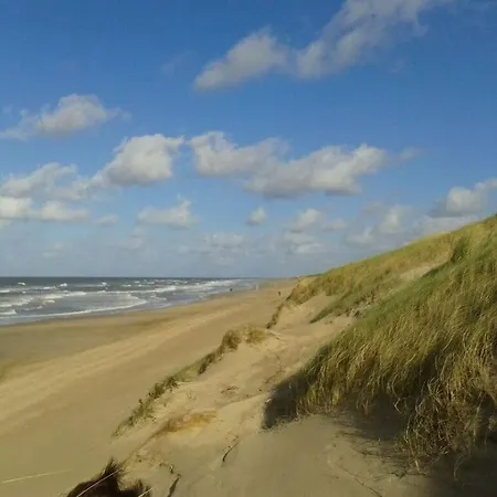 Summer Melody Comfortable *