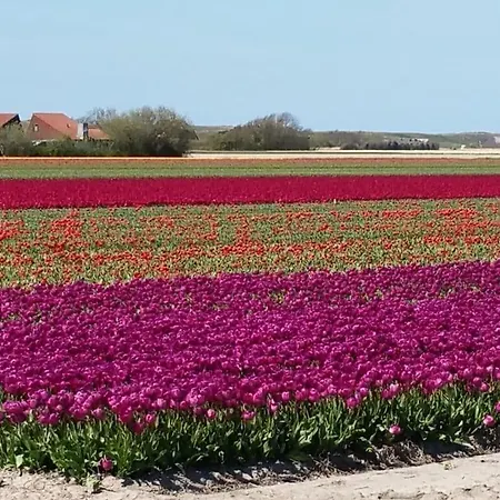 Summer Melody Comfortable 펜션 줄리아나도르프