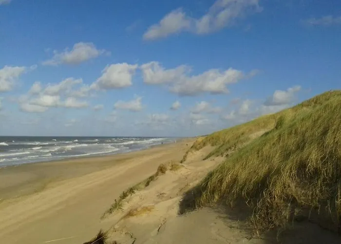 Summer Melody Comfortable *