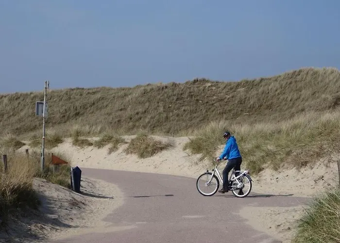 Summer Melody Comfortable