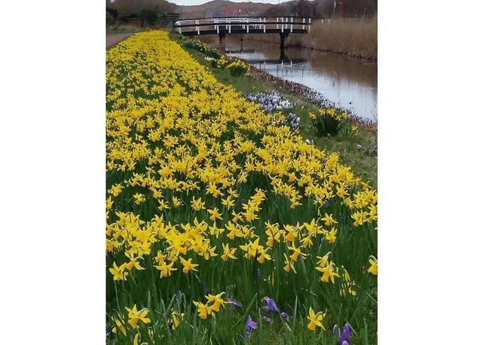 Summer Melody Comfortable *