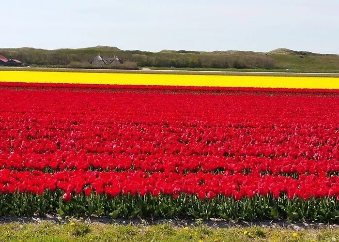 Hébergement de vacances Summer Melody Comfortable